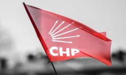 CHP Vanlı ismi partiden ihraç edecek