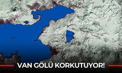 Van Gölü'deki kuraklık sorunu devam ediyor