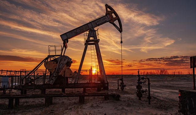 Van'ın Muradiye ilçesinde petrol bulundu