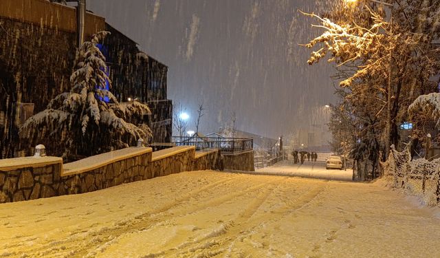 Van'da okullara kar engeli! 11 İlçede okullar tatil edildi