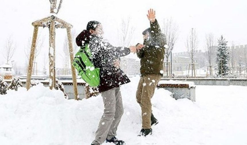 Van'da okullara kar engeli! 11 İlçede okullar tatil edildi